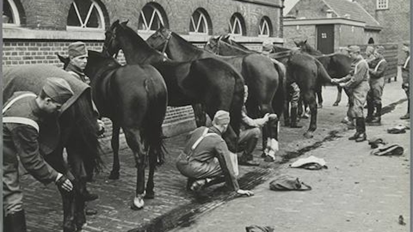 Huzaren Verzorging Paarden
