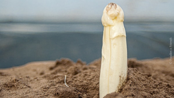 Placeholder for Asperge