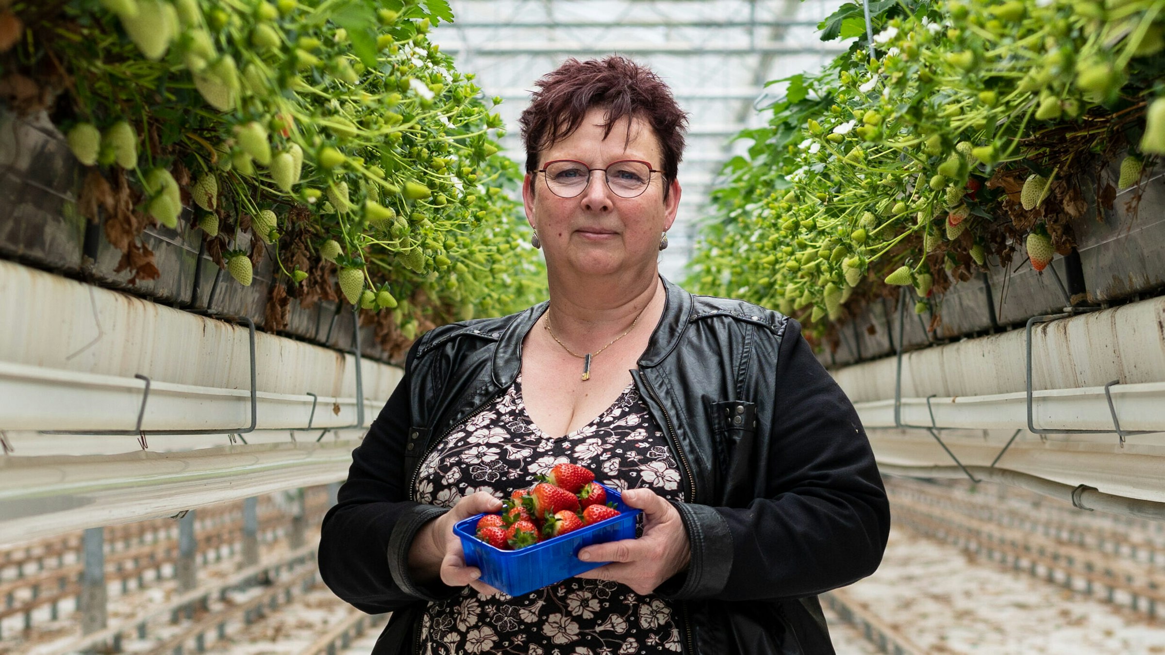 Streekweken 2e Editie 2023 11