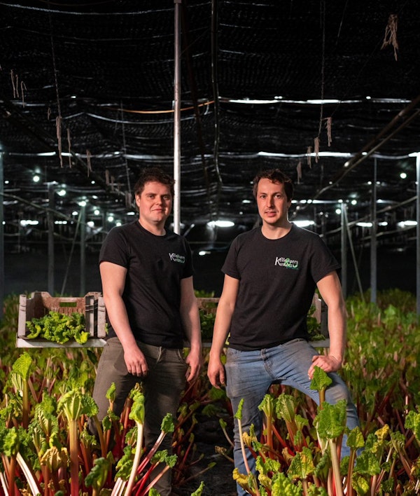 Placeholder for Rabarber