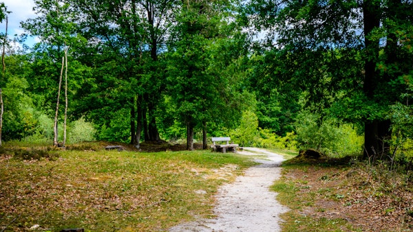 Placeholder for Wandelroute Galgevenroute NATUUR Jaomerdal WEB Petra Lenssen 18