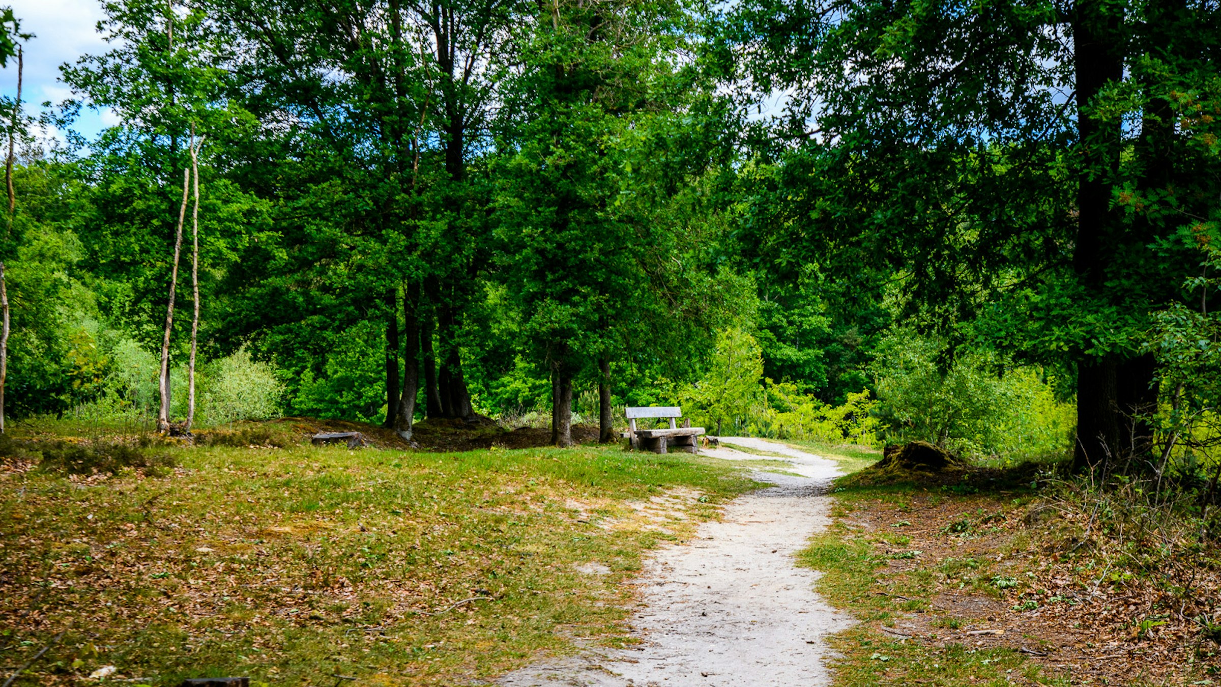 Wandelroute Galgevenroute NATUUR Jaomerdal WEB Petra Lenssen 18