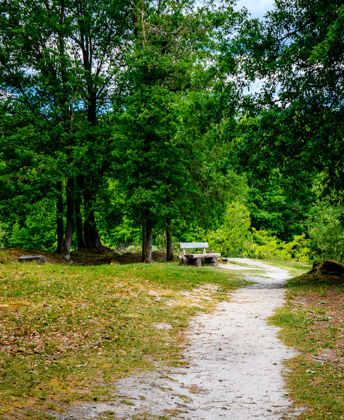 Wandelroute Galgevenroute NATUUR Jaomerdal WEB Petra Lenssen 18