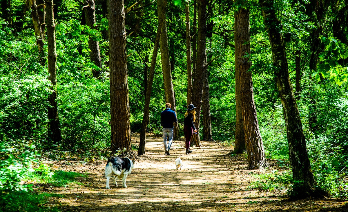 Wandelroute de Landgoederen NATUUR Groote Heide WEB Petra Lenssen 21