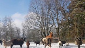 Placeholder for Winter kids Hagerhof
