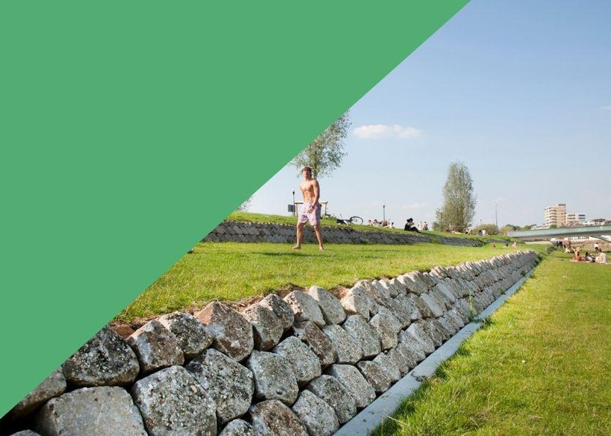 Zomergids thumbnail billeninhetgras