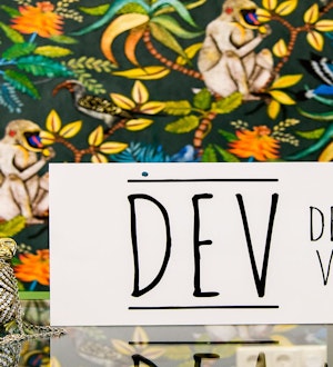 Placeholder for 2019 03 VP DEV 12