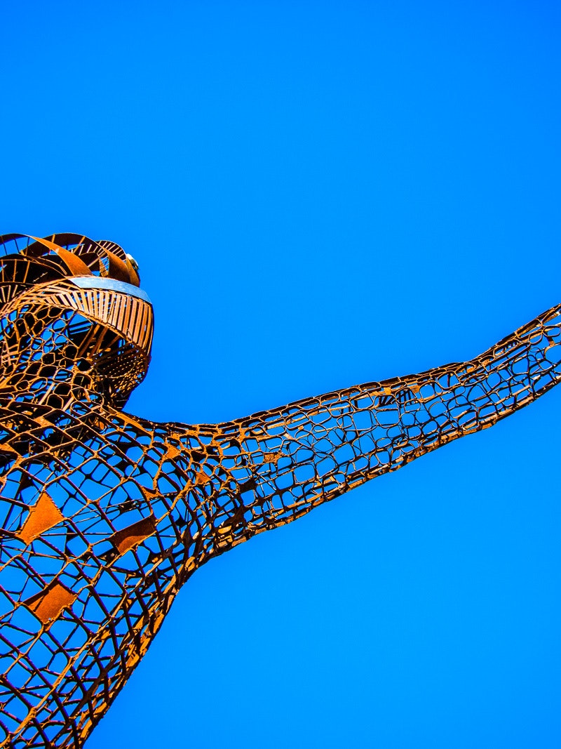 2020 04 VP Zomergids Krijger 7