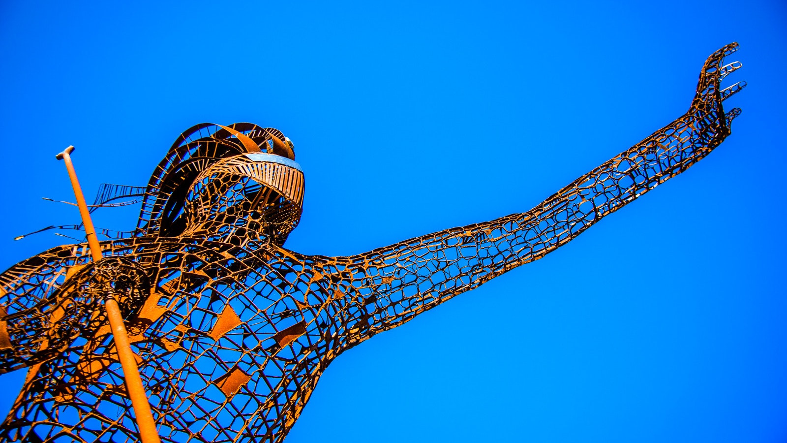 2020 04 VP Zomergids Krijger 7