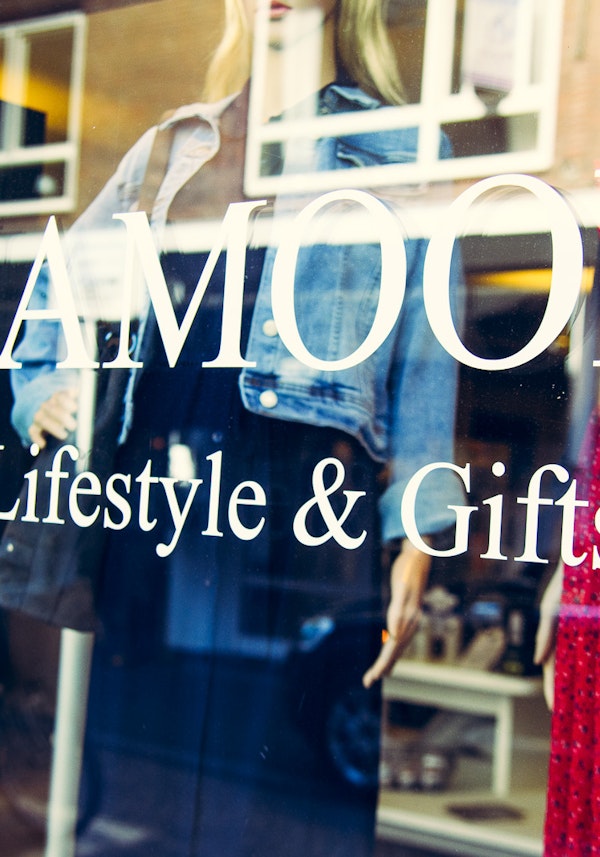 Placeholder for 2020 05 VP ANNAMOON 4