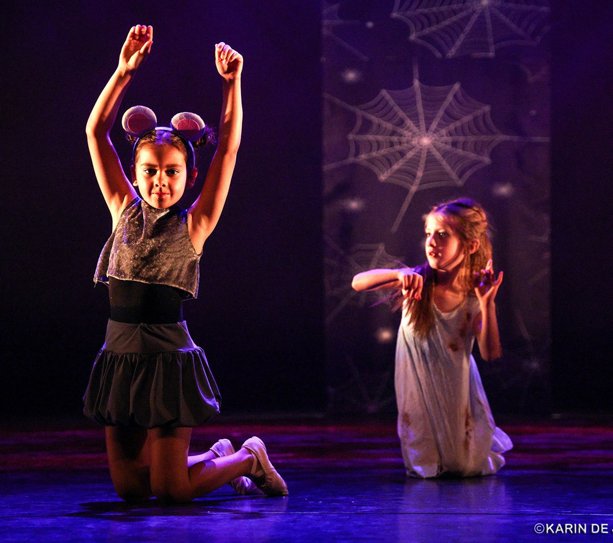 250614 Het verdwenen boek 137 Karin de Jonge 1