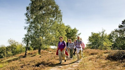 Placeholder for Groepje dames wandelen in Maasduinen