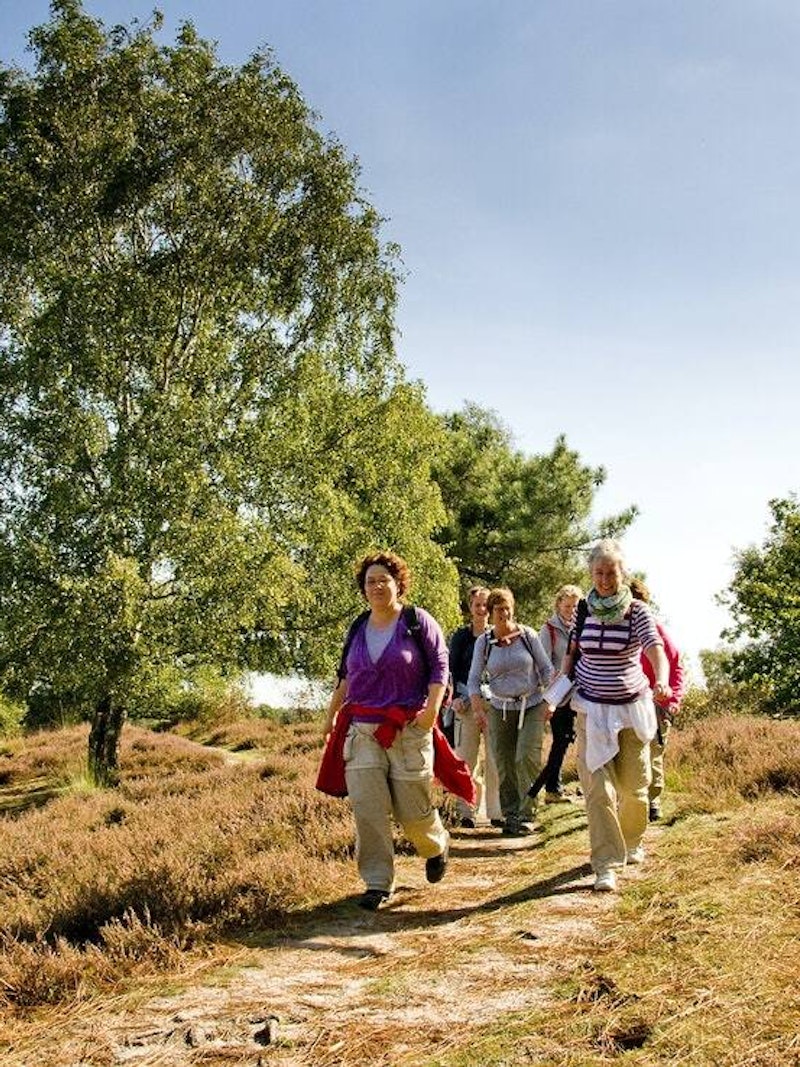 Groepje dames wandelen in Maasduinen