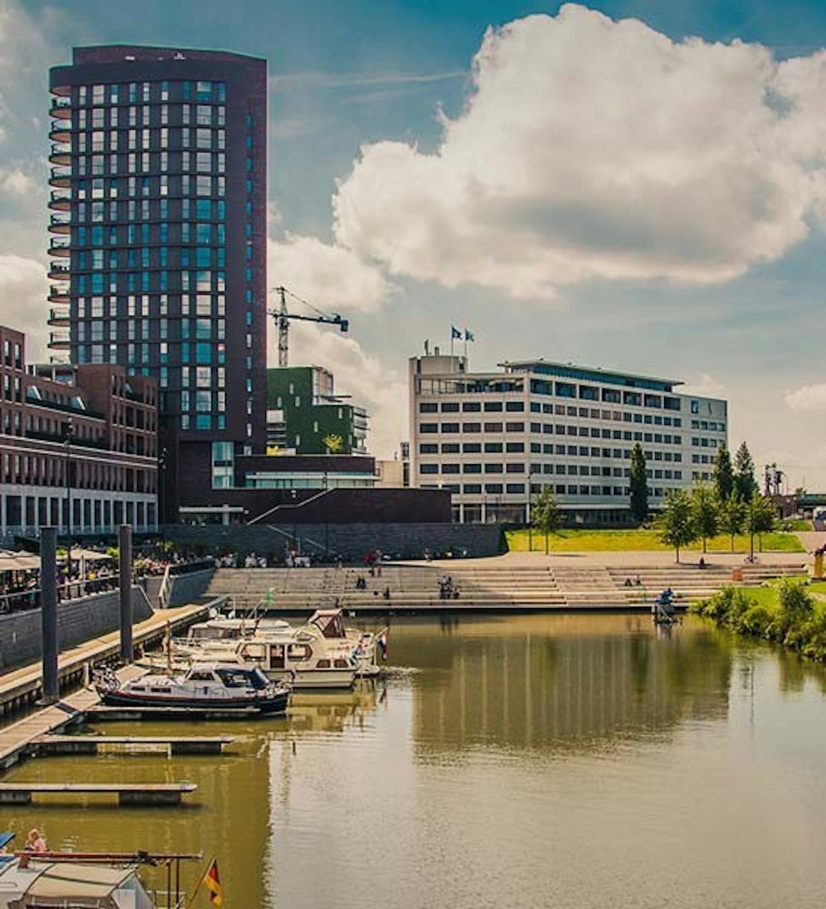 Maasboulevard header