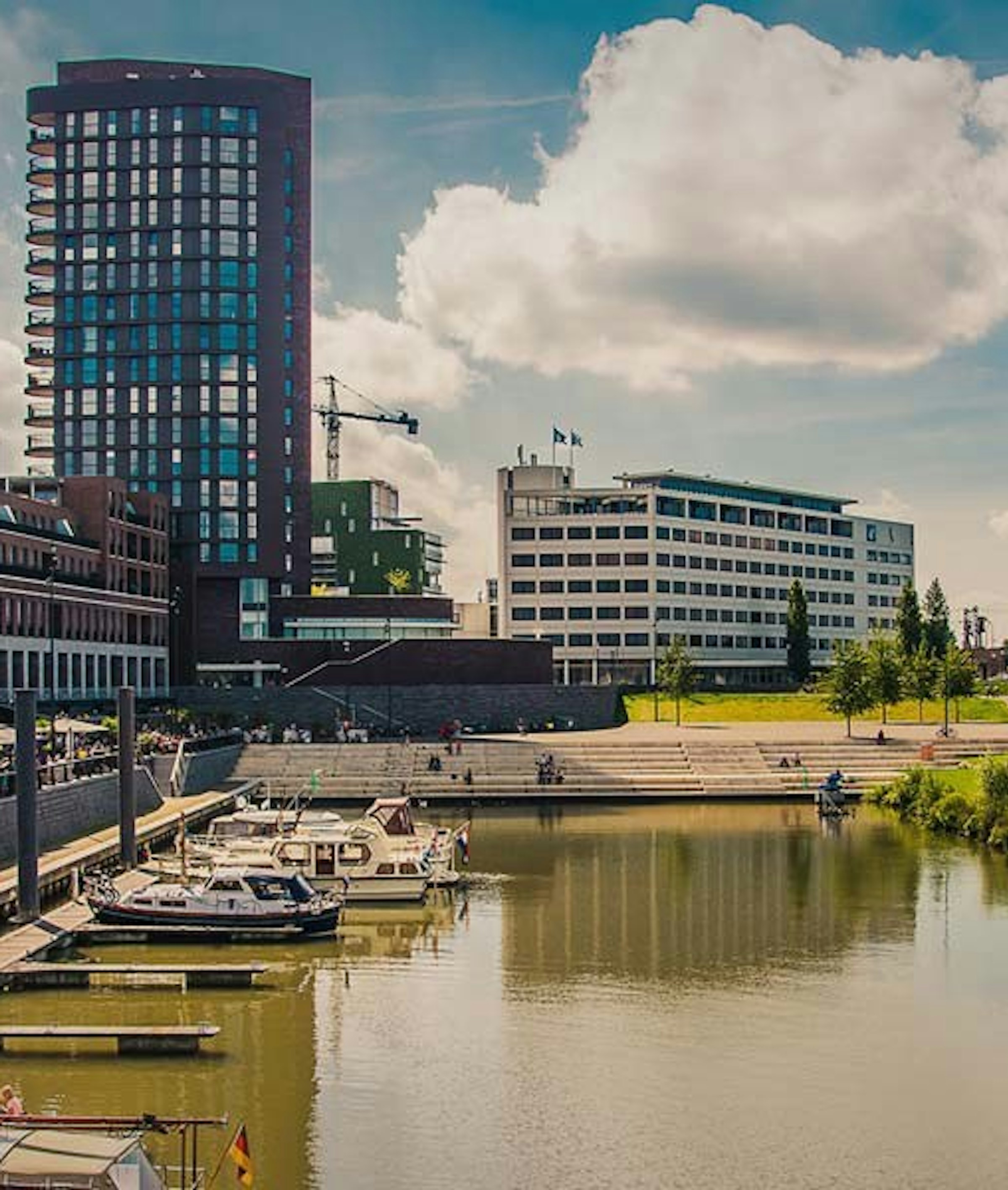 Maasboulevard header