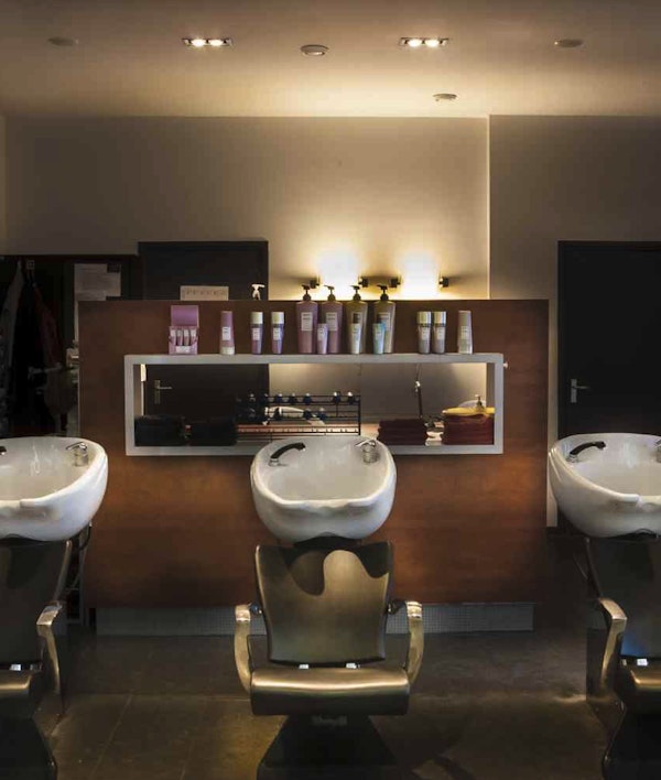 Placeholder for Metamorfose Kappers