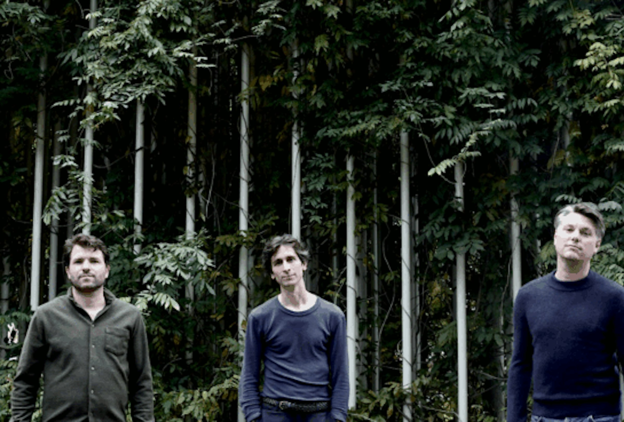 Schermafbeelding 2025 07 29 om 11 40 35 768x369