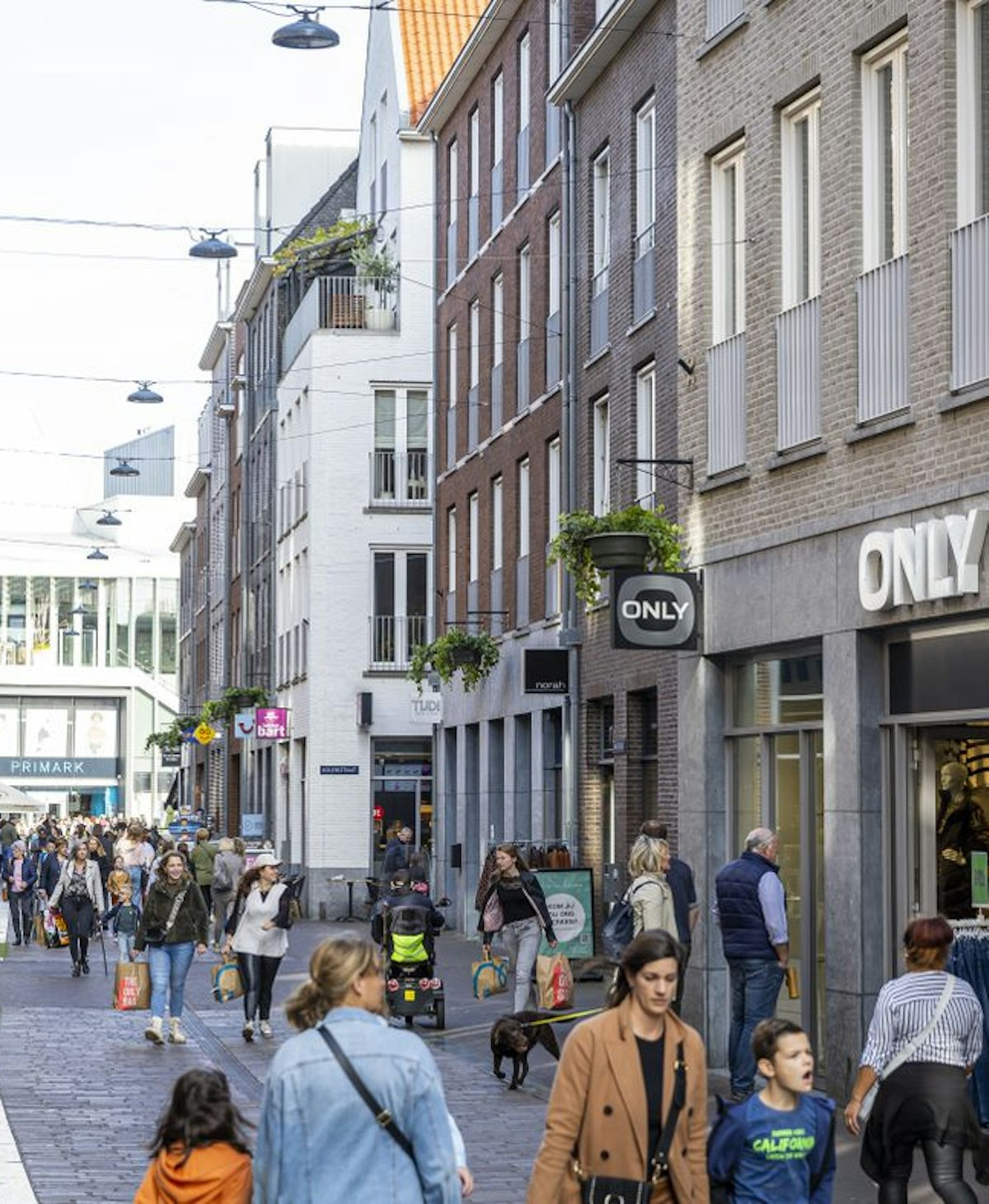 E4e8ac15 fae9 41a8 9f0c 76c4f23197db