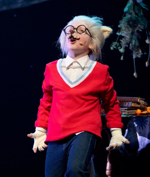 Placeholder for Maaspoort 6008