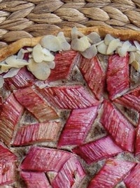 Placeholder for Rabarber