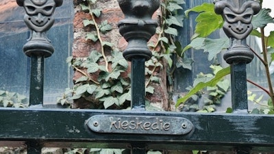 Placeholder for Saskia11