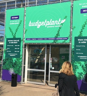 Placeholder for Budgetplant