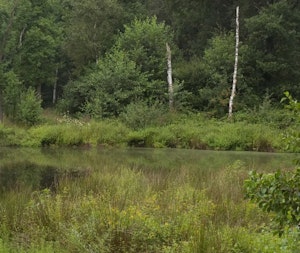 Placeholder for Zwartwater